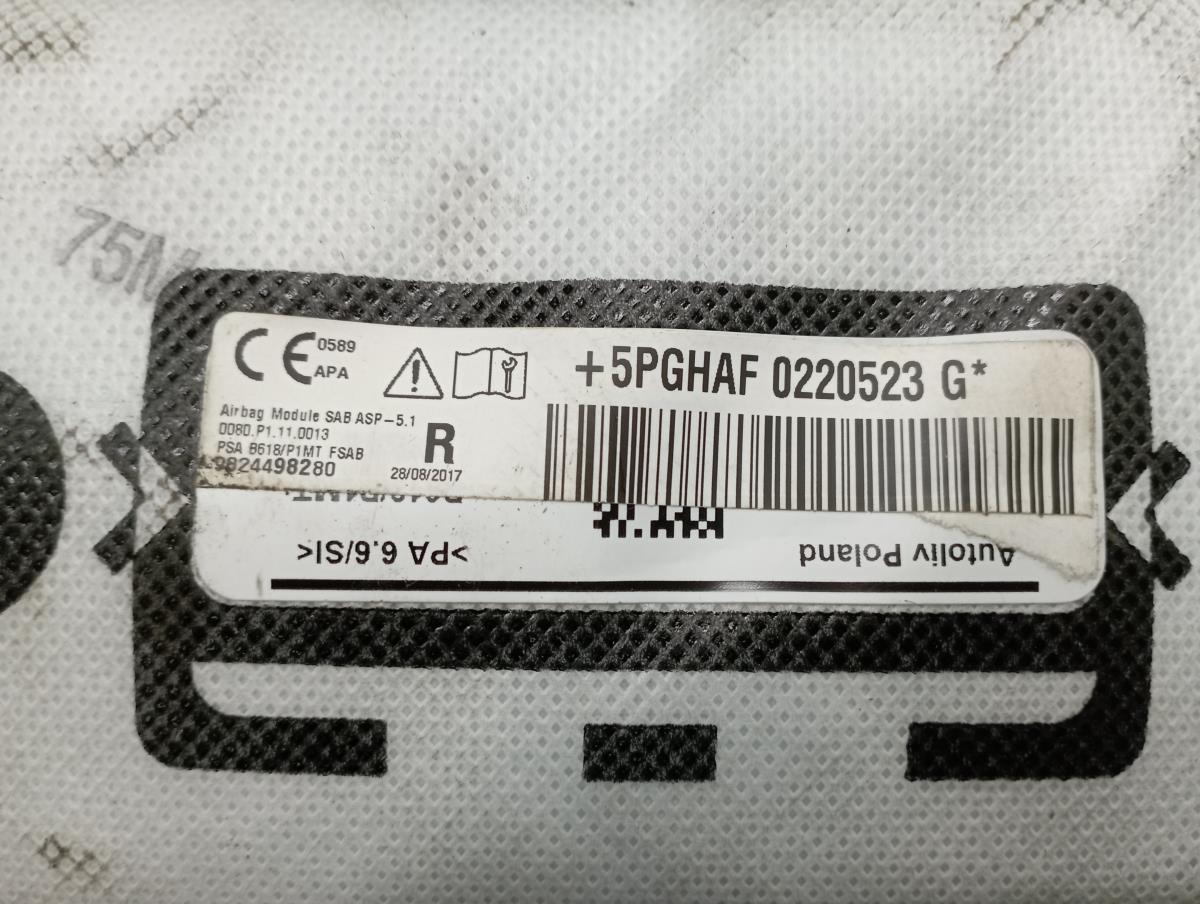 Airbag Derecho CITROËN C3 III Van (SX_, SY_) Imagem-3