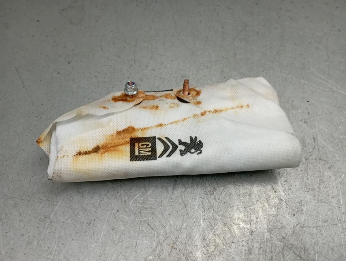 Airbag Izquierdo CITROËN C3 III Van (SX_, SY_) Imagem-1