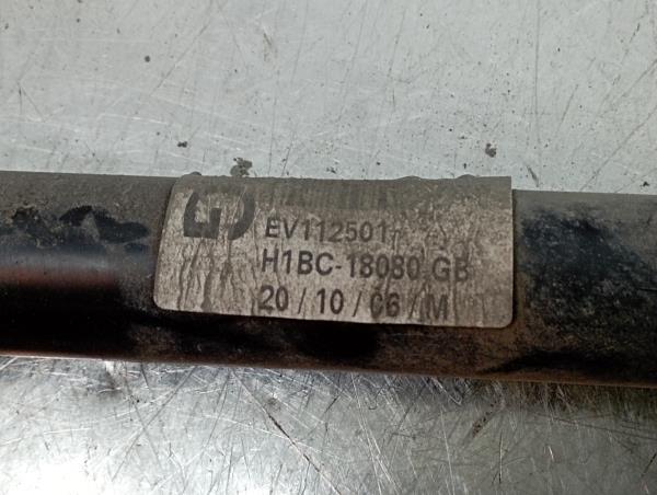 Ammortizzatore Posteriore Destro FORD Fiesta VII (HJ, HF) Imagem-2