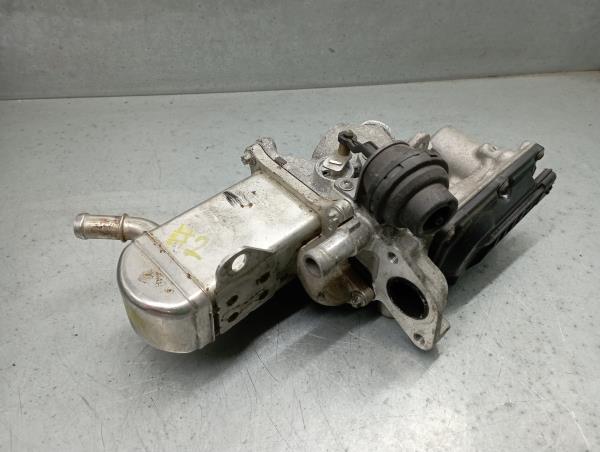 Válvula EGR RENAULT Megane III (BZ0_)
