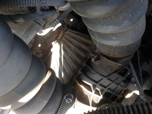 Kit de radiateurs FORD Grand C-Max (DXA/CB7, DXA/CEU)