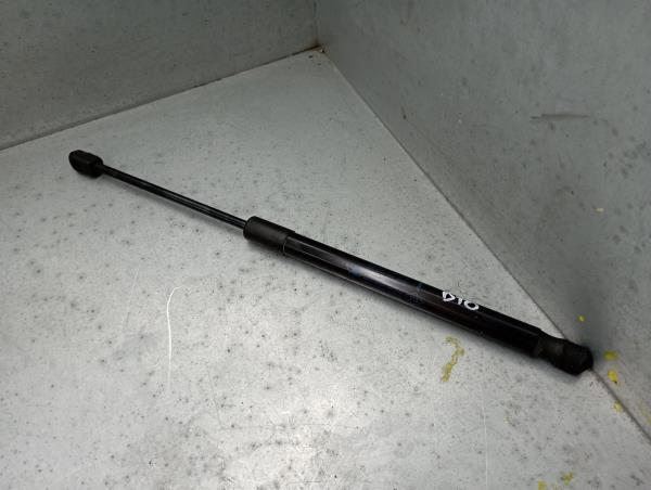 Amortecedor da mala RENAULT Megane III (BZ0_)