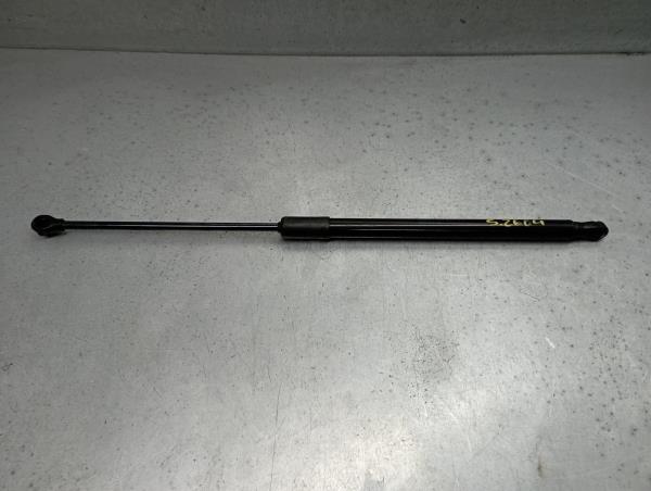 Amortecedor da mala RENAULT Clio V (BF_)