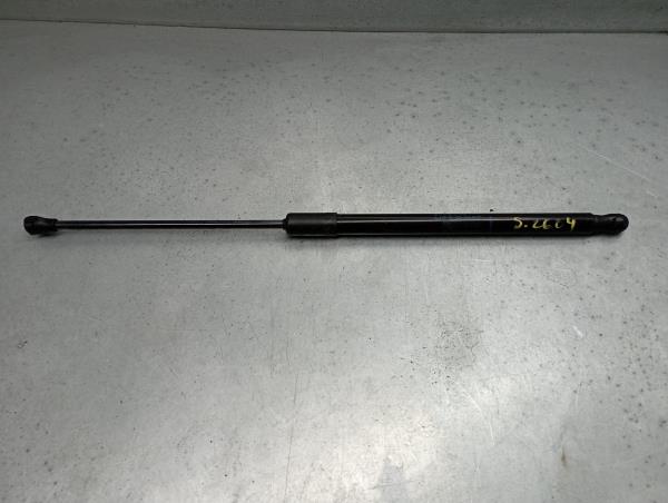 Amortecedor da mala RENAULT Clio V (BF_)