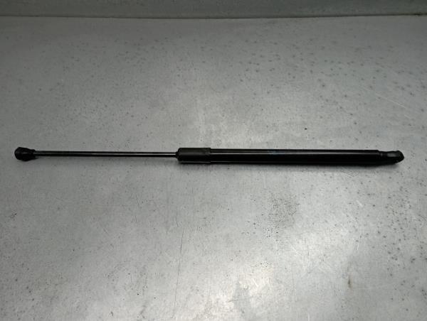 Amortecedor da mala RENAULT Clio V (BF_) Imagem-1