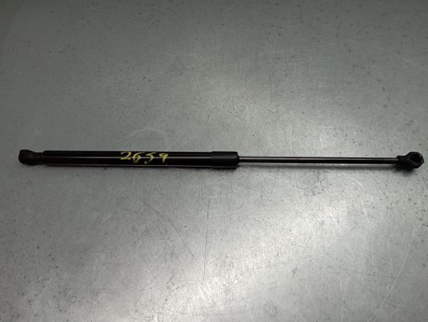 Amortecedor da mala RENAULT Captur II