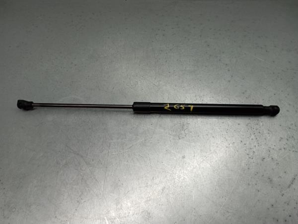 Amortecedor da mala RENAULT Captur II