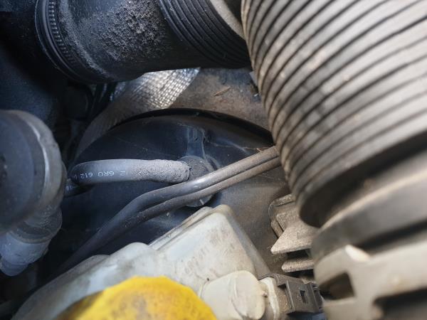 Brake Servo VOLKSWAGEN Polo (6R, 6C)