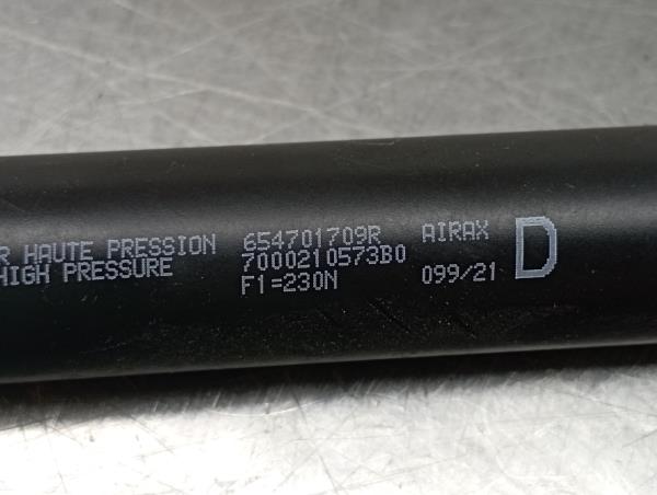 Amortecedor do capot RENAULT Kangoo III Express Imagem-2