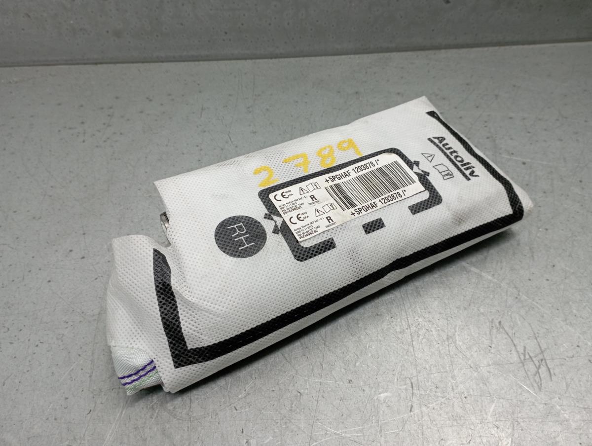 Airbag Derecho CITROËN C3 III Van (SX_, SY_)