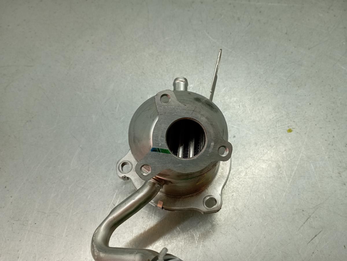 Radiatore Olio / Scambiatore di Calore RENAULT Clio V (BF_) Imagem-3