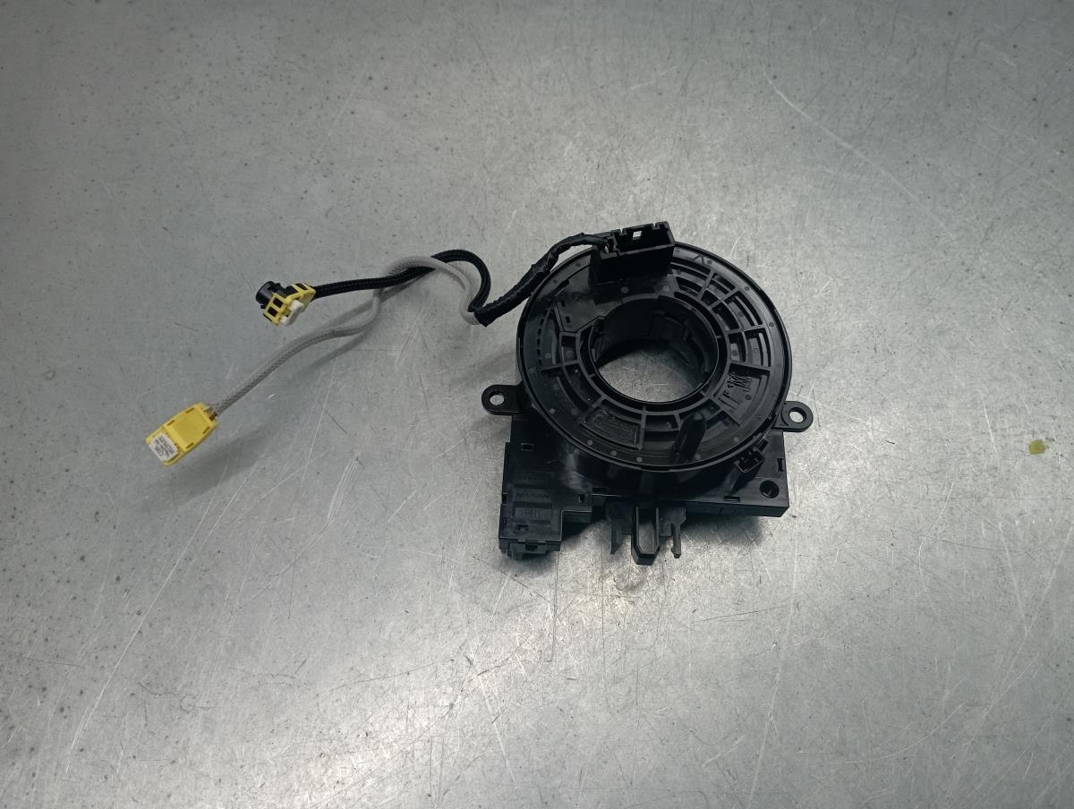 Airbag strap RENAULT Clio V (BF_)