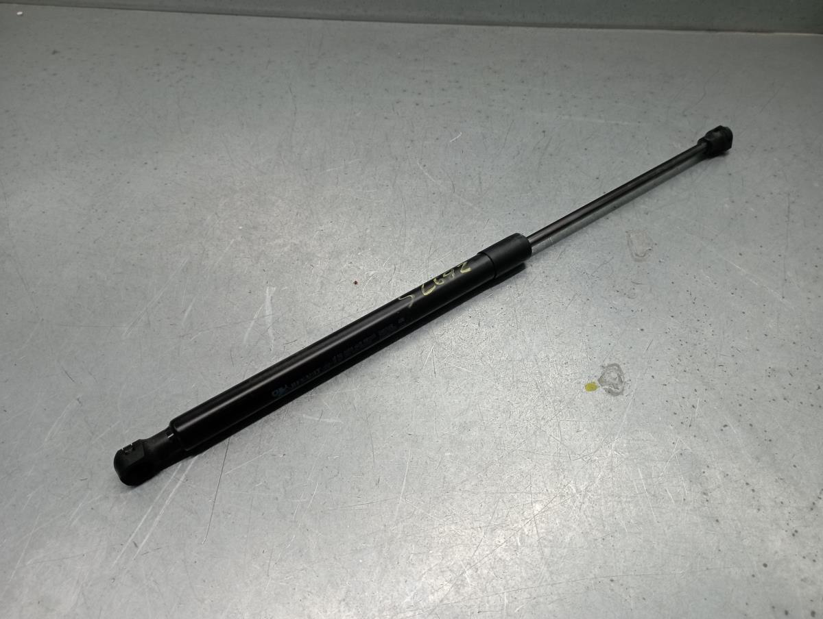 Amortecedor da mala RENAULT Captur II