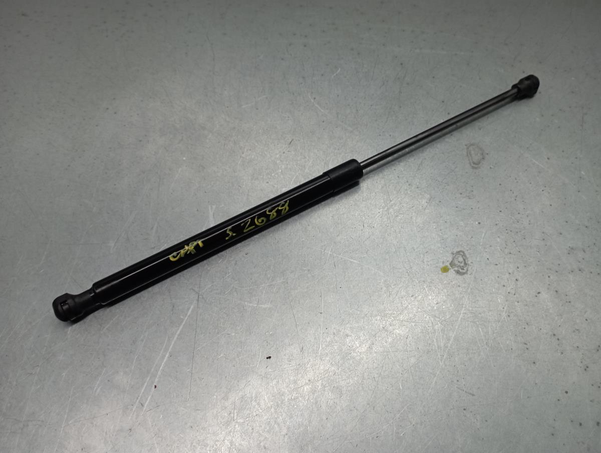 Amortecedor da mala RENAULT Captur II