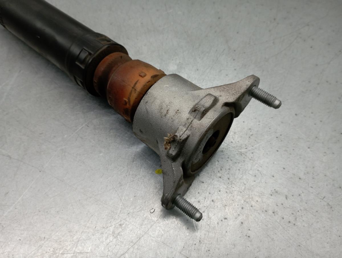 Amortiguador Trasero Izquierdo MERCEDES-BENZ GLA (X156) Imagem-2