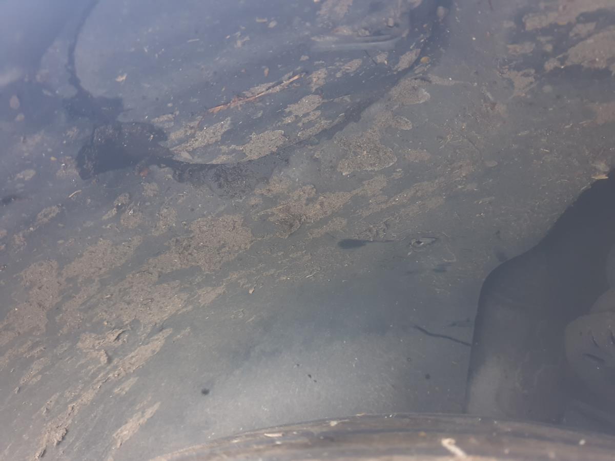 Resguardo da cava de roda frente esquerdo SKODA Rapid Spaceback (NH1)