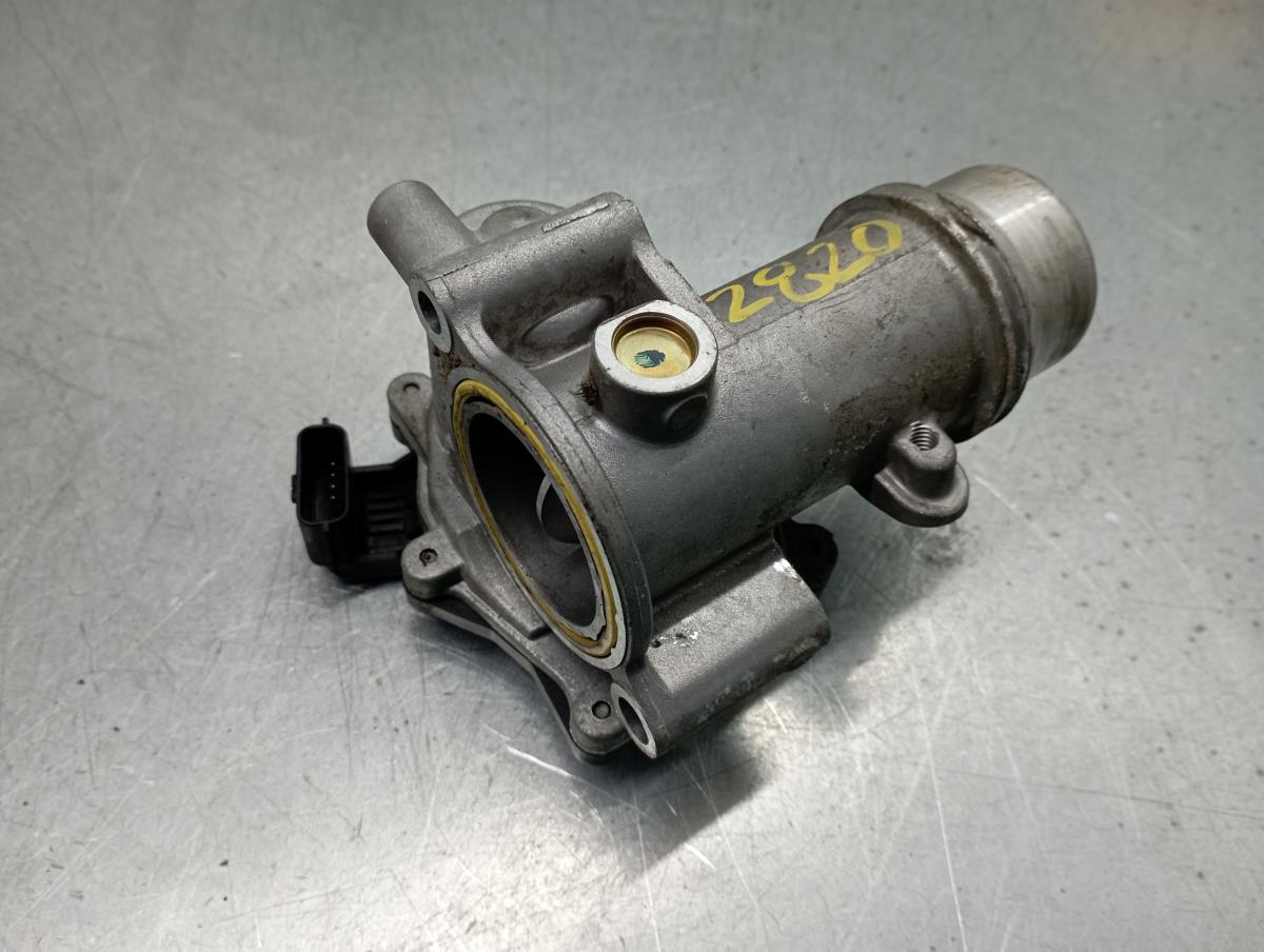 Throttle body RENAULT Clio V (BF_) Imagem-1