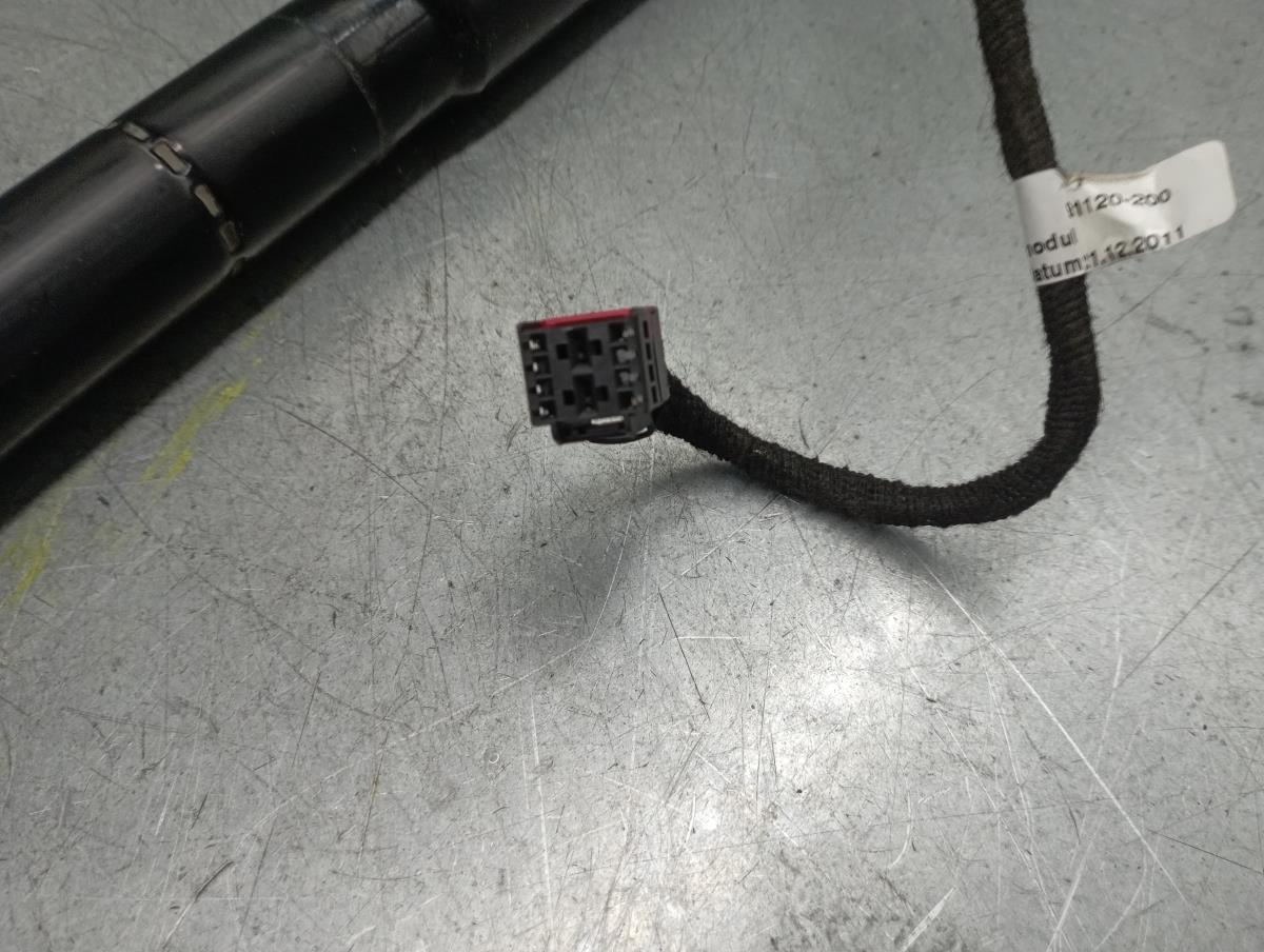 Amortecedor da mala PORSCHE Cayenne (92A) Imagem-1