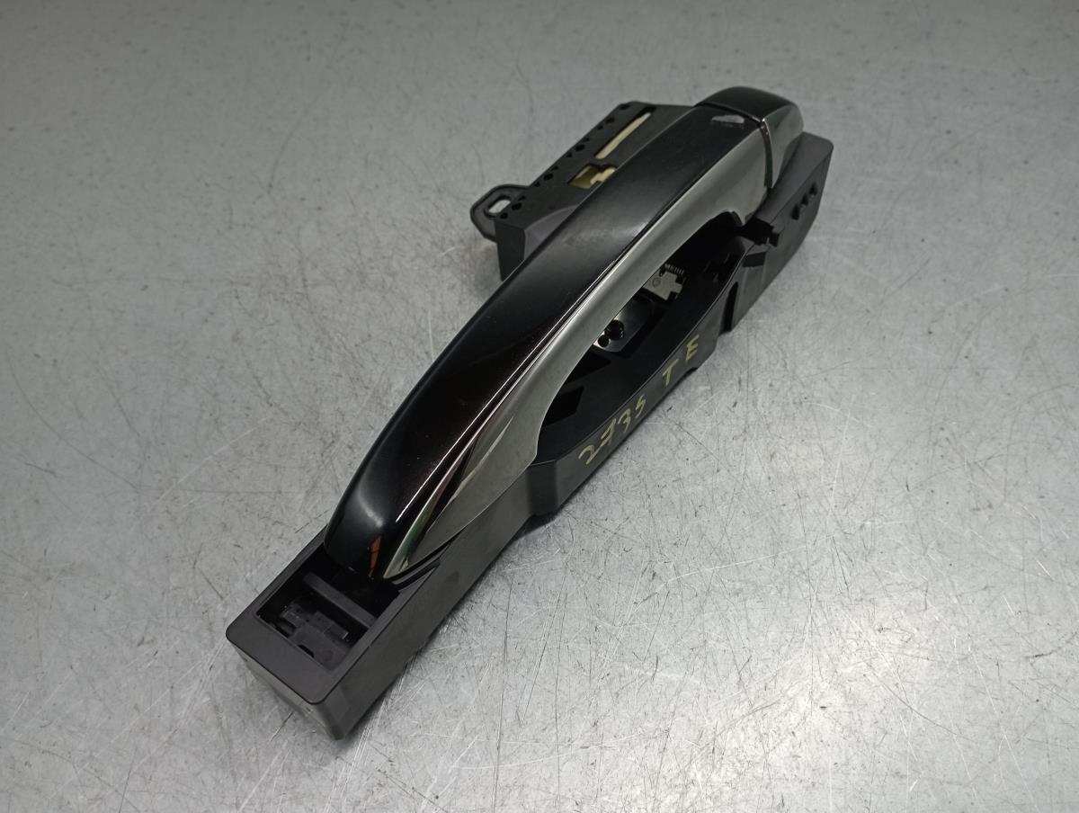 Puxador porta trás esquerdo RENAULT Megane IV (B9A/M_) Imagem-1