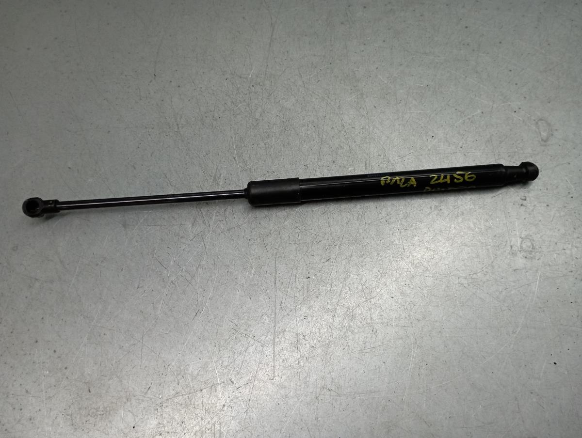 Ammortizzatore Bagagliaio DACIA Duster (HM_)