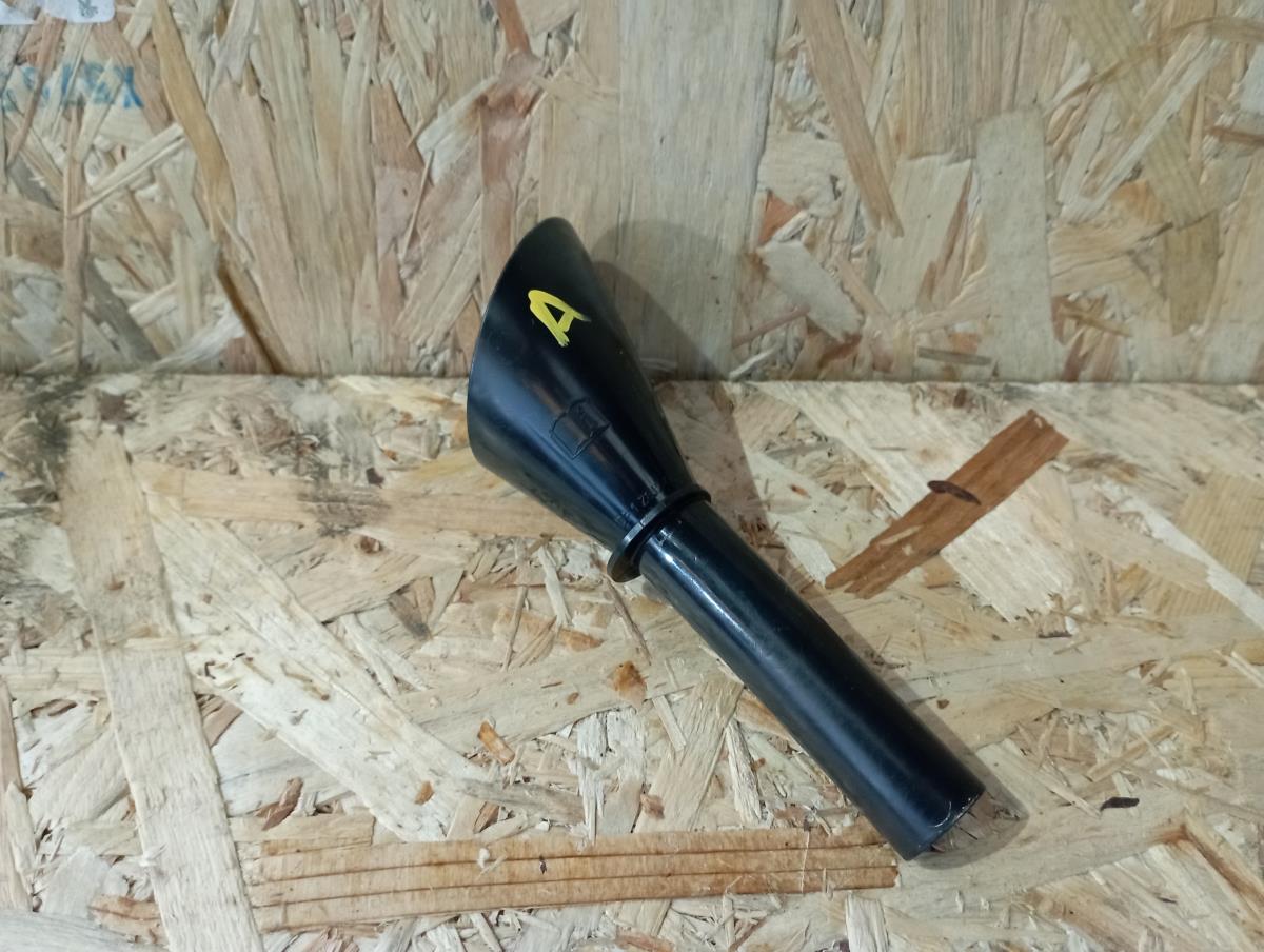 Acessórios Auto NISSAN Juke (F16)