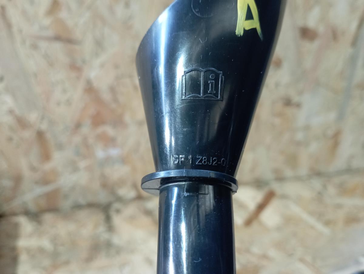 Acessórios Auto NISSAN Juke (F16) Imagem-1