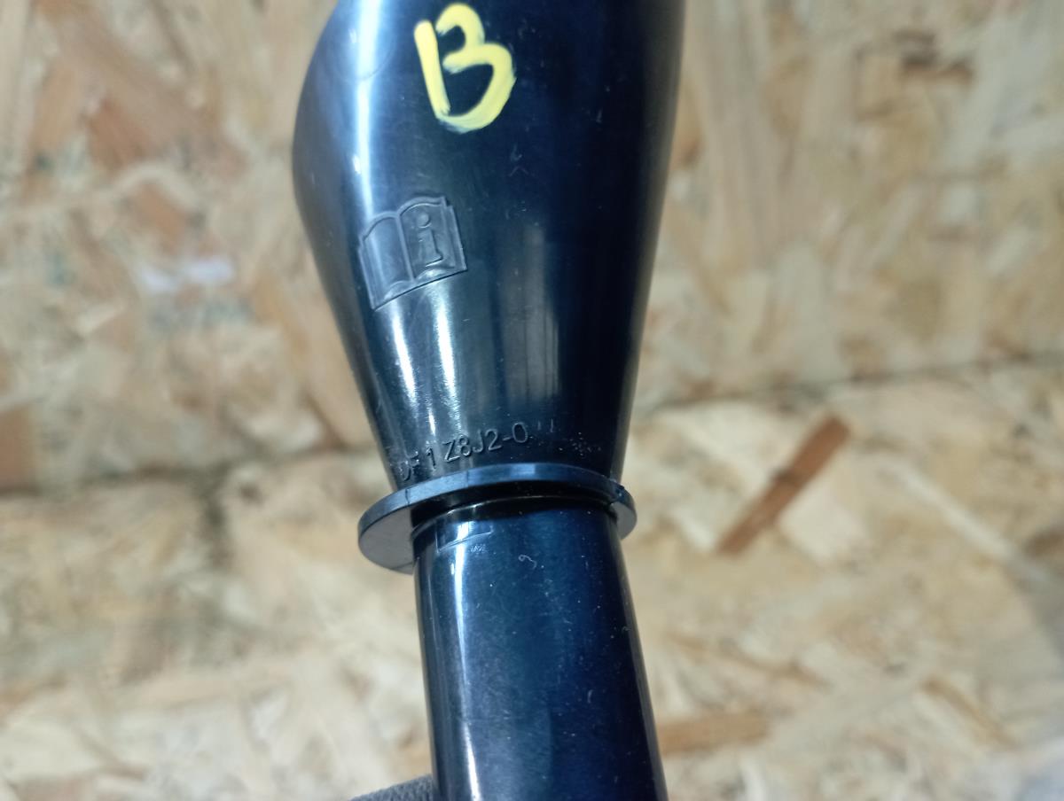 Acessórios Auto NISSAN Juke (F16) Imagem-1