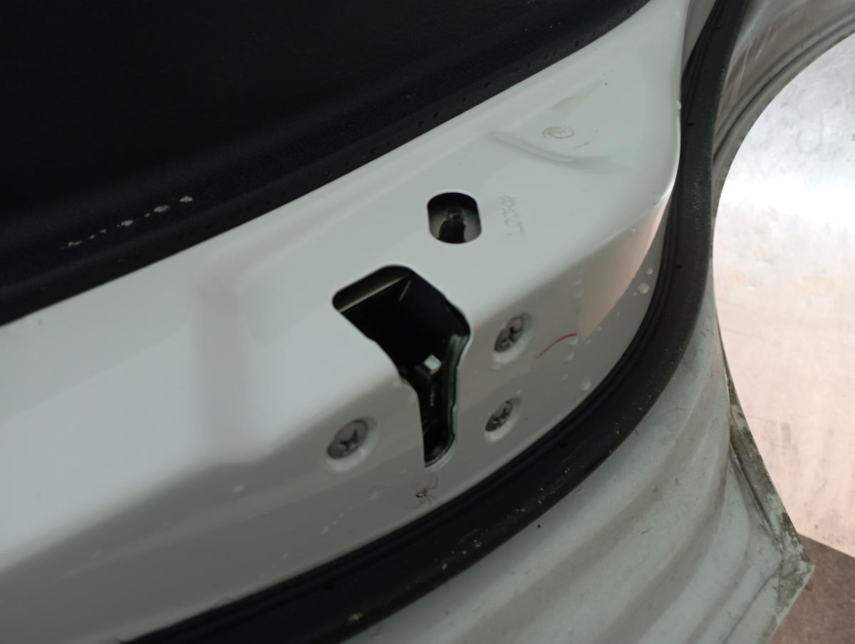 Rear Left Door Lock NISSAN Juke (F15)