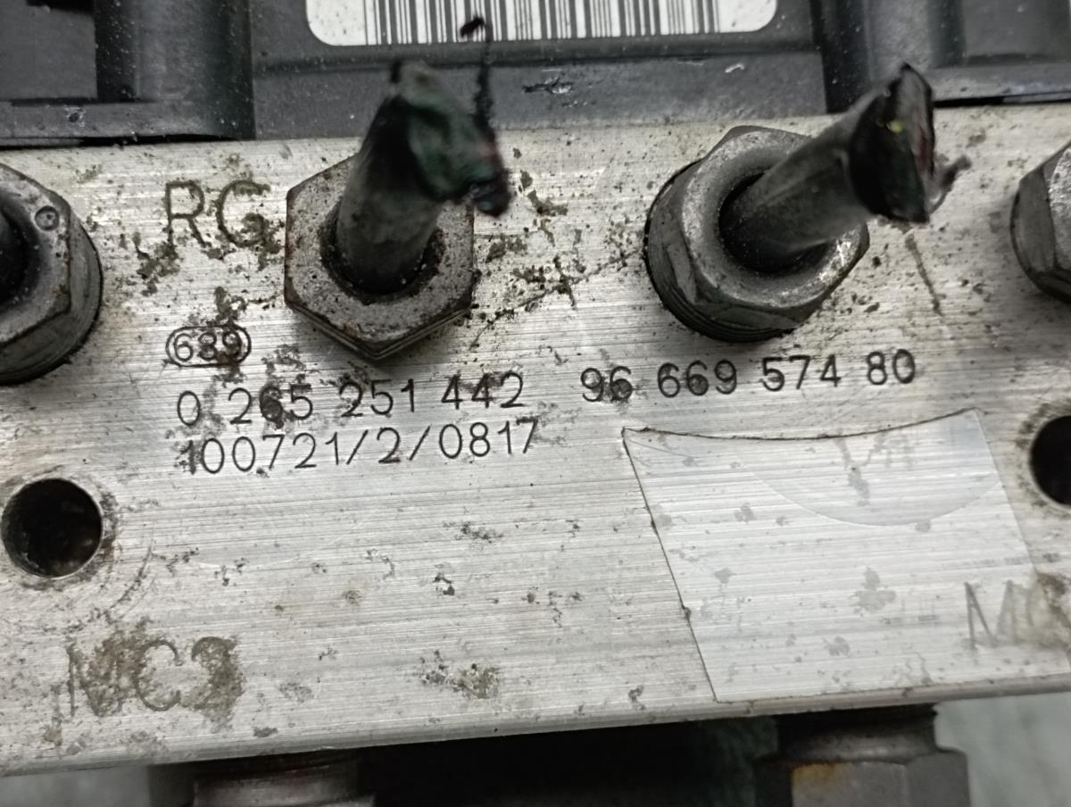 ABS PEUGEOT 308 (4A_, 4C_) Imagem-4