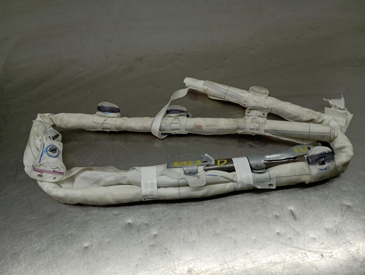 Airbag Cortina Derecho RENAULT Megane IV (B9A/M_)