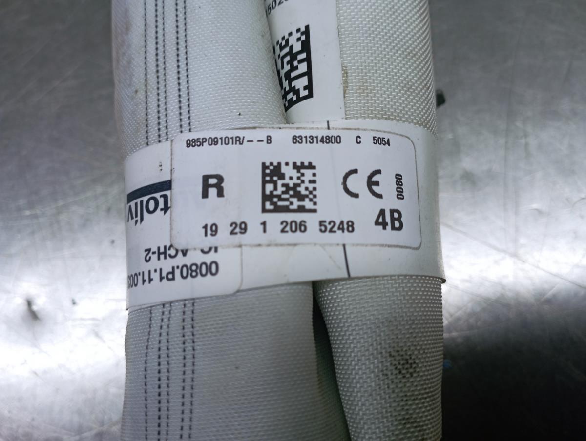 Airbag Cortina Derecho RENAULT Megane IV (B9A/M_) Imagem-2