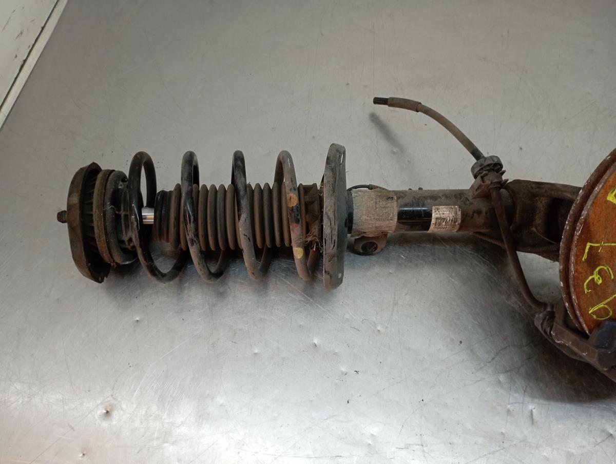 Amortiguador Delantero Izquierdo CITROËN C3 III (SX) Imagem-1