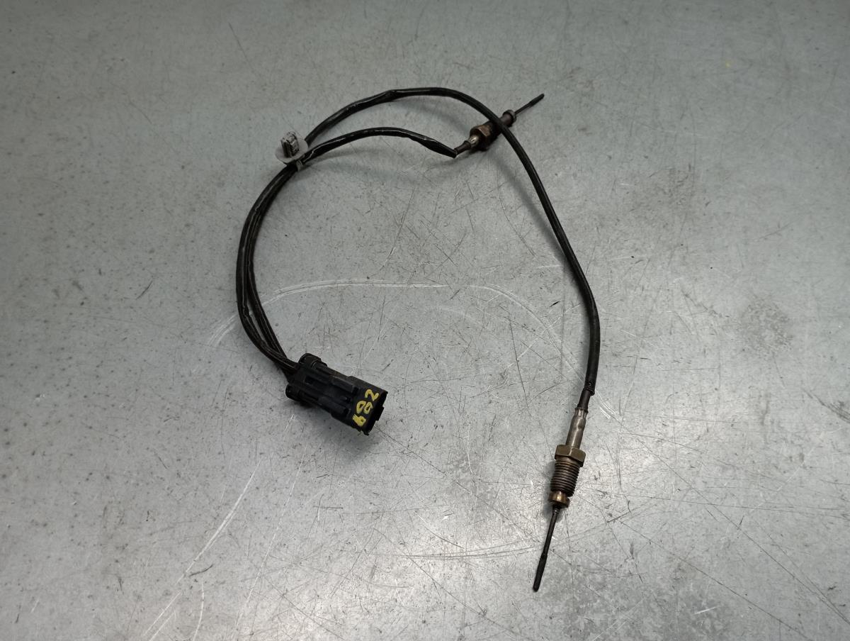 Sonda lambda CITROËN C3 III Van (SX_, SY_) Imagem-1