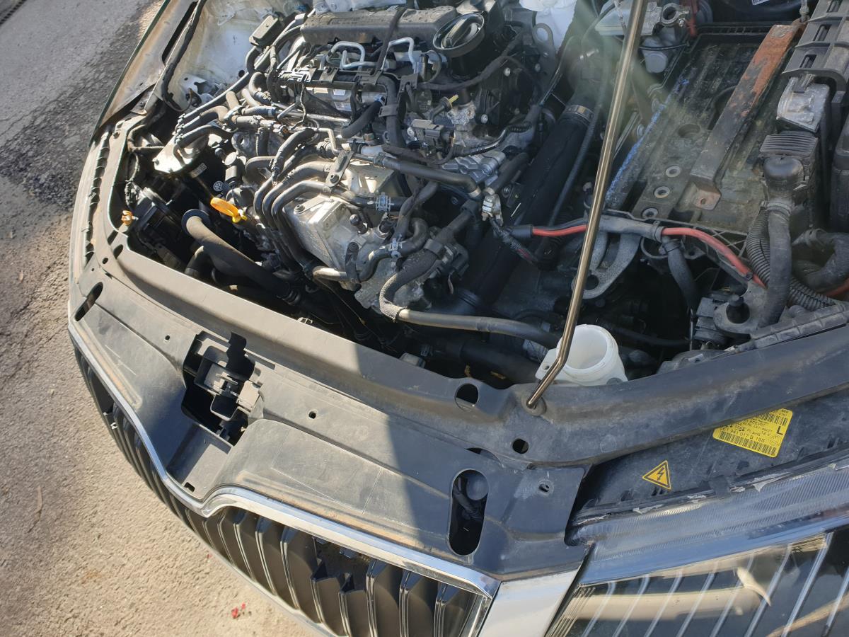 Frontale in fibra o lamiera SKODA Octavia III Break (5E5)