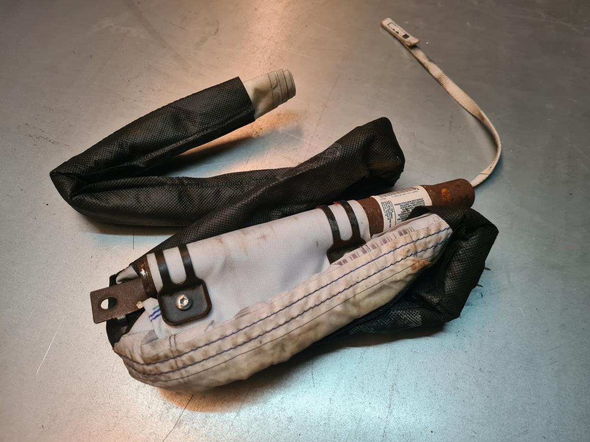 Airbag Rideau Guache RENAULT Scénic III (JZ0/1_)