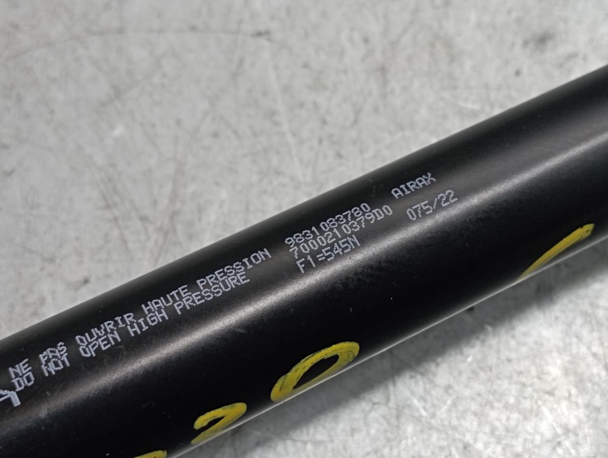 Amortecedor da mala CITROËN C4 III Imagem-1