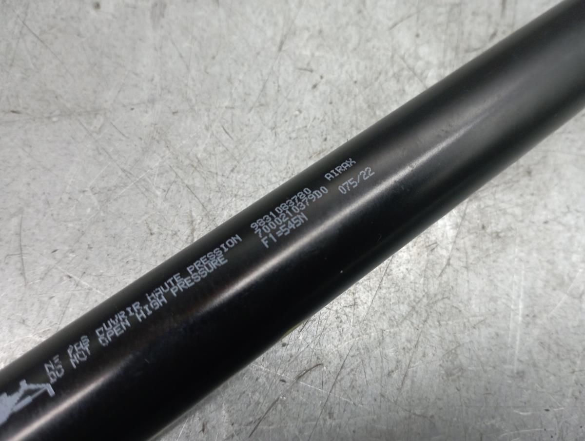 Amortecedor da mala CITROËN C4 III Imagem-1