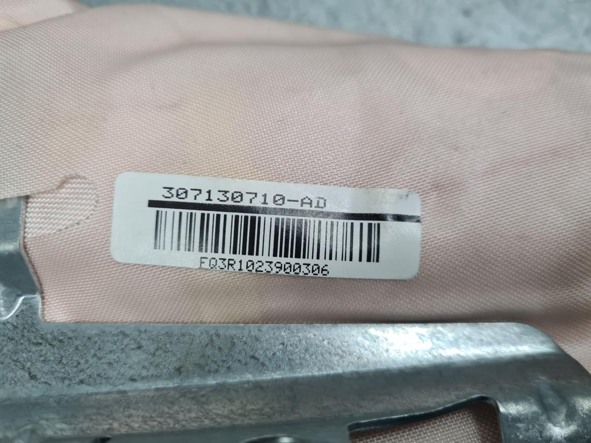 Airbag Destro BMW 5 (F10) Imagem-5