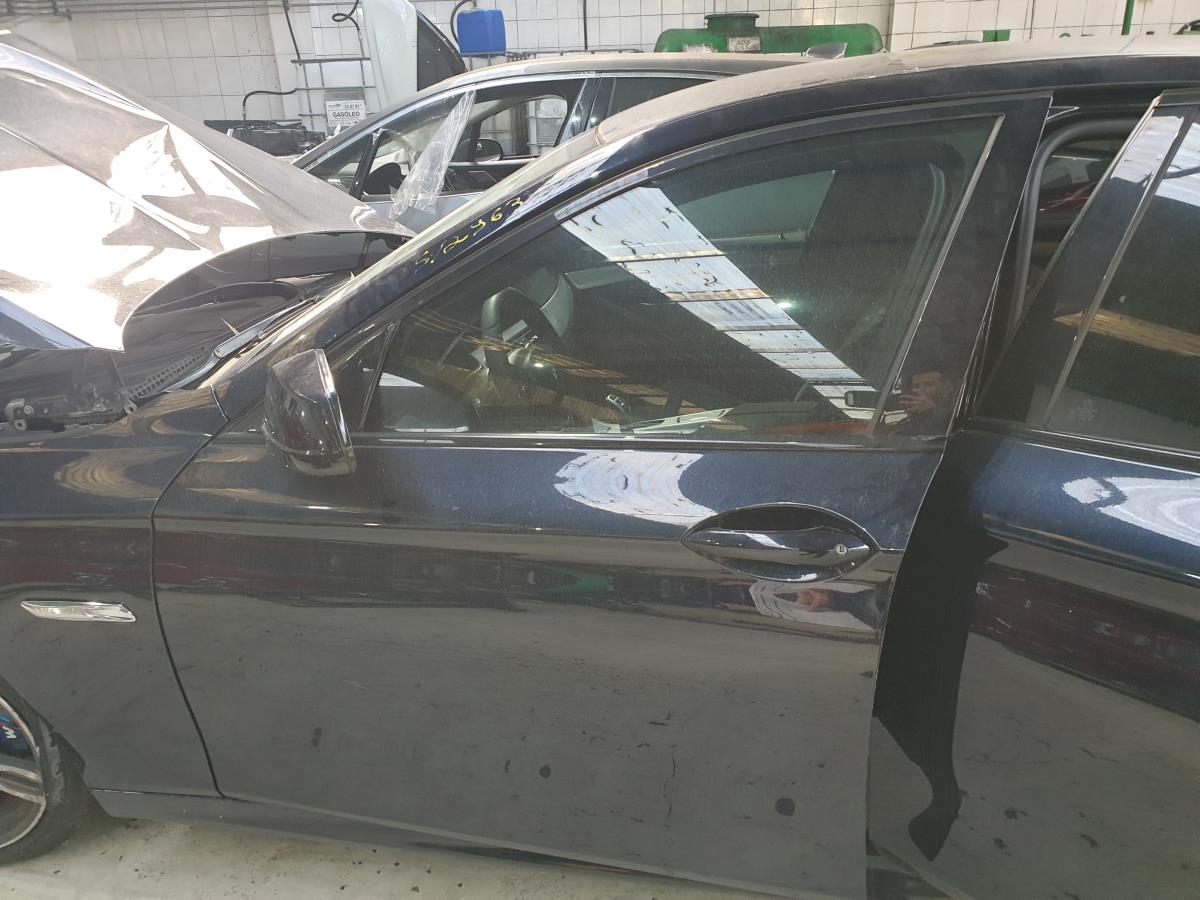 Porta anteriore sinistra BMW 5 (F10)