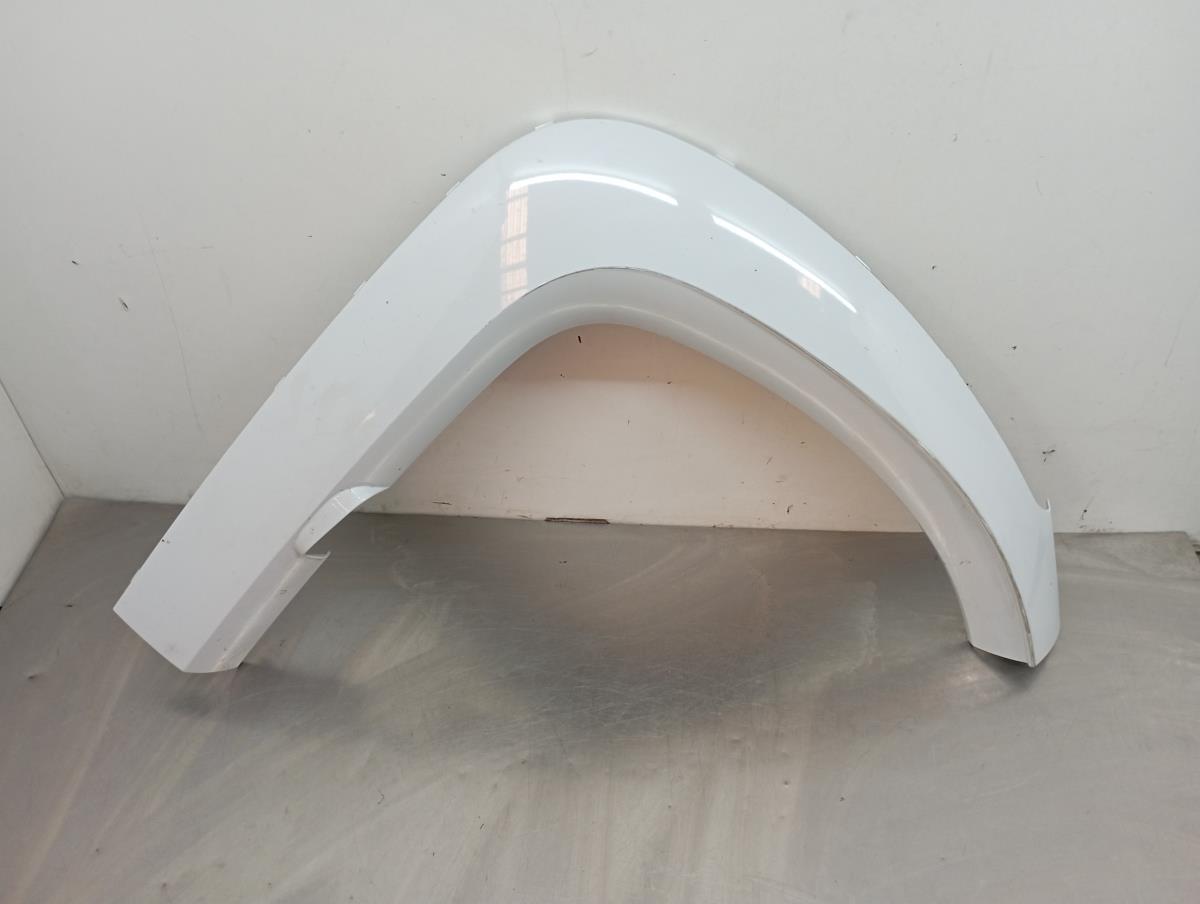 Friso tejadilho RENAULT Twizy (MAM_)