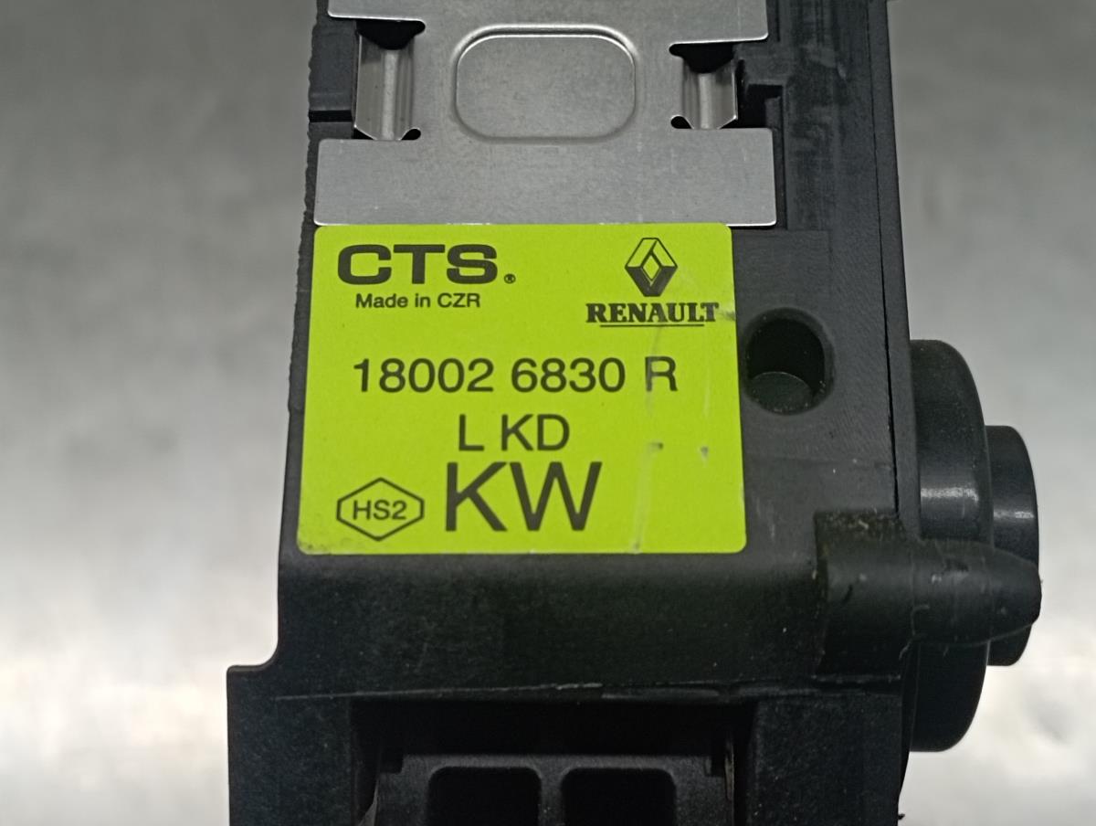 Pedal do acelerador RENAULT Megane IV (B9A/M_) Imagem-4
