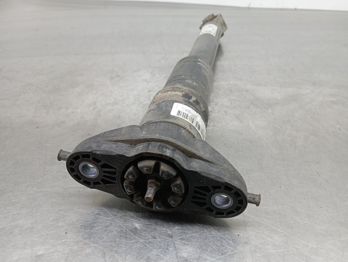 Amortecedor trás esquerdo PEUGEOT 208 II Imagem-2