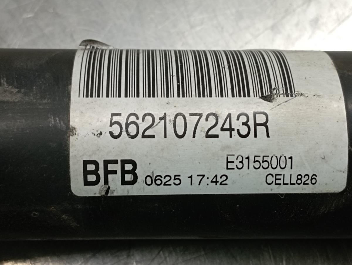 Amortiguador Trasero Izquierdo RENAULT Megane IV (B9A/M_) Imagem-2