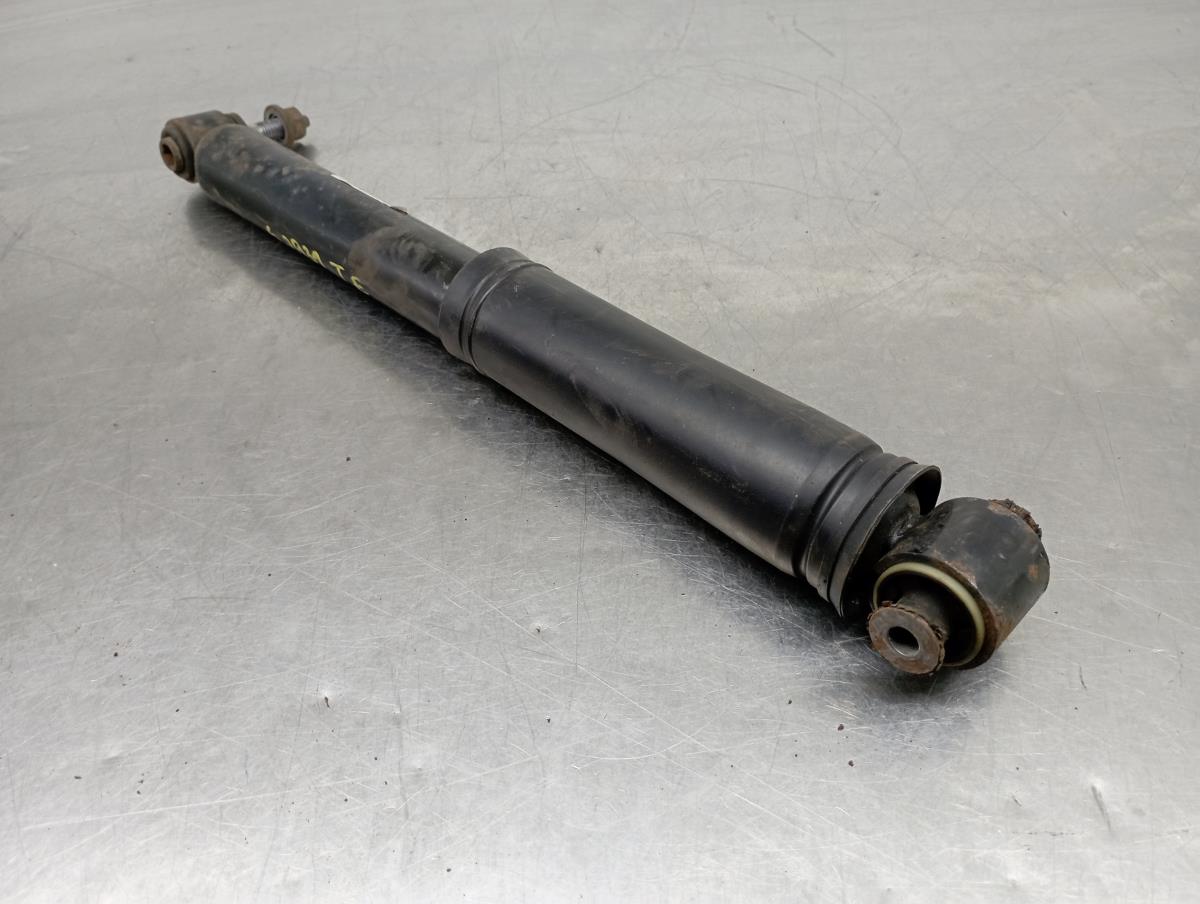 Amortiguador Trasero Izquierdo RENAULT Megane IV (B9A/M_) Imagem-1