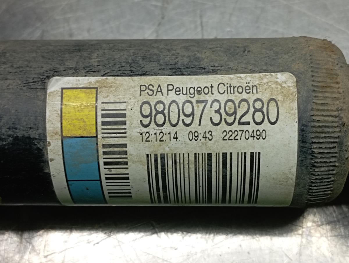 Amortiguador Trasero Derecho CITROËN C4 Cactus Imagem-2