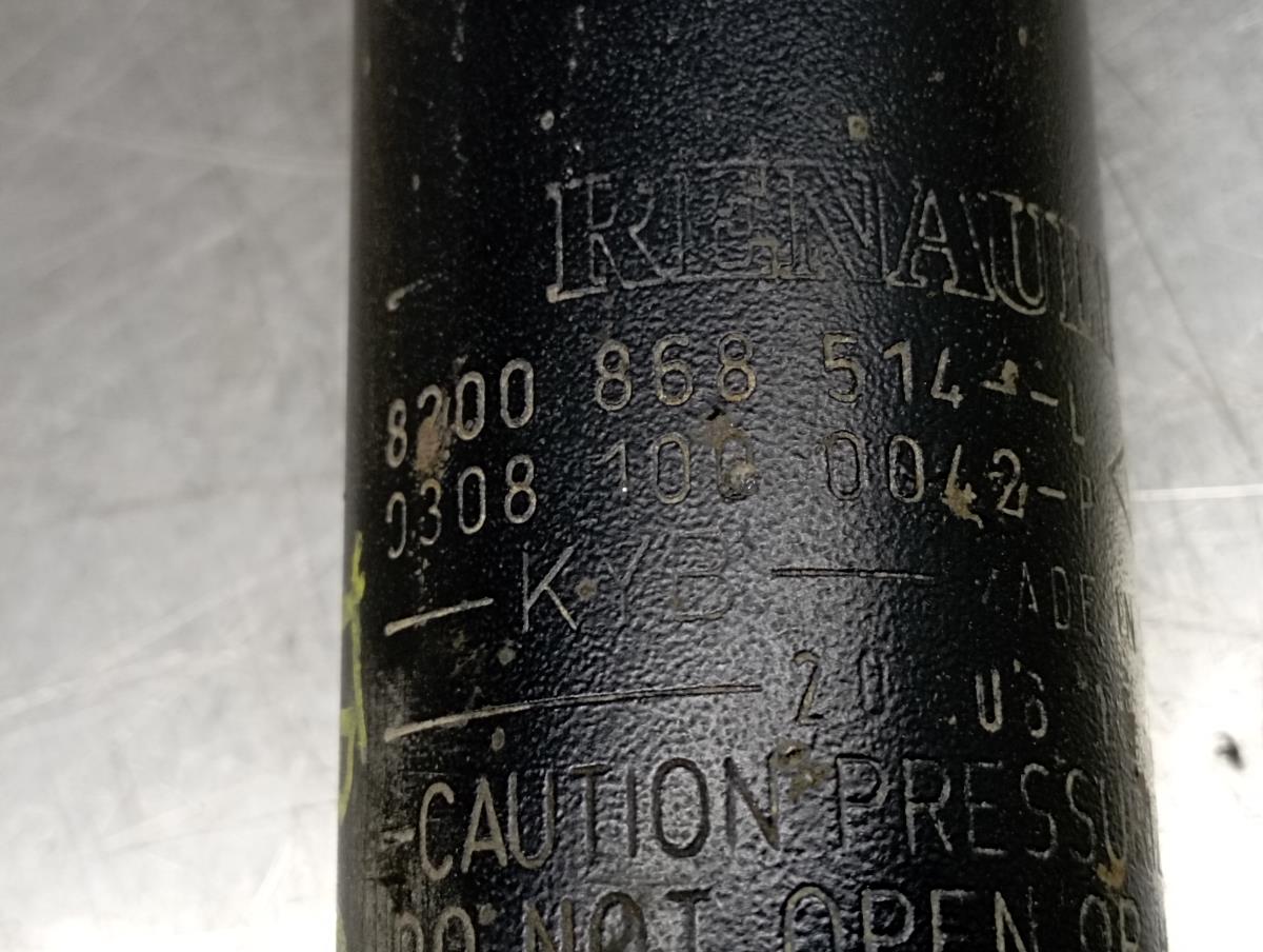 Amortiguador Trasero Izquierdo RENAULT Kangoo Express (FW0/1_) Imagem-2