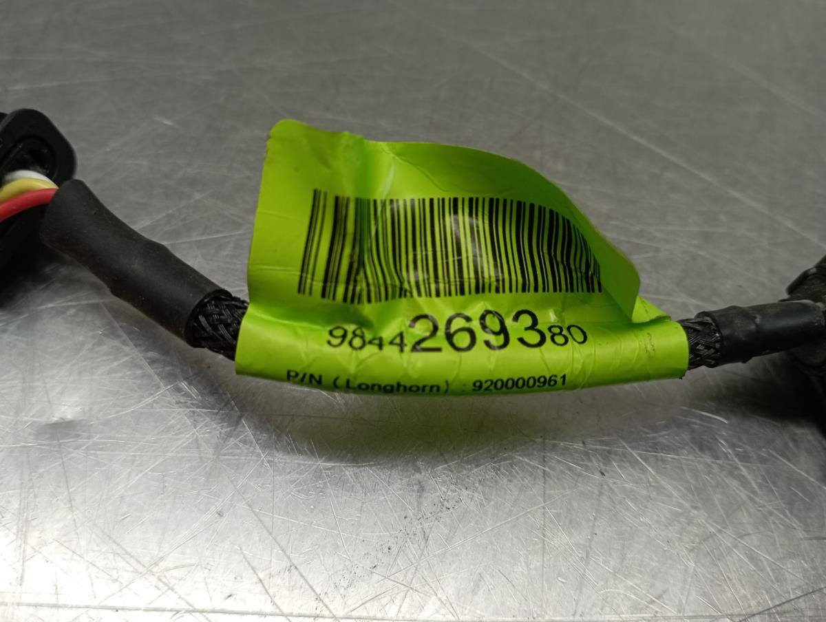 Telecamera posteriore PEUGEOT 2008 II (U_) Imagem-3