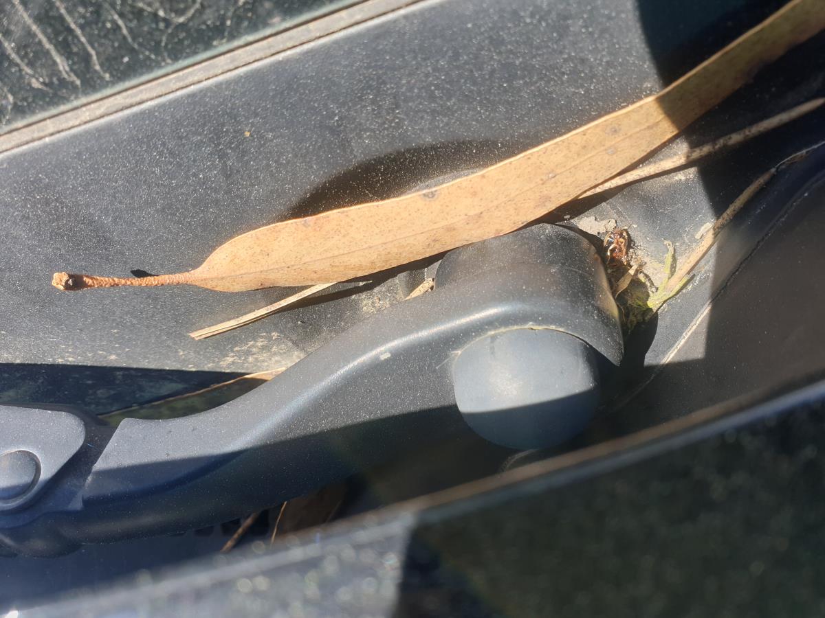 Front Wiper Motor CITROËN DS5 (KF_)