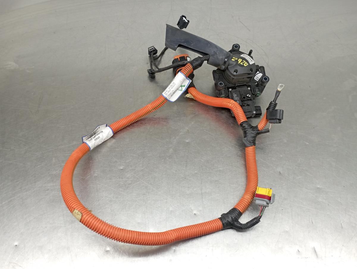 Cavo di ricarica PHEV - EV RENAULT Kangoo Express (FW0/1_)