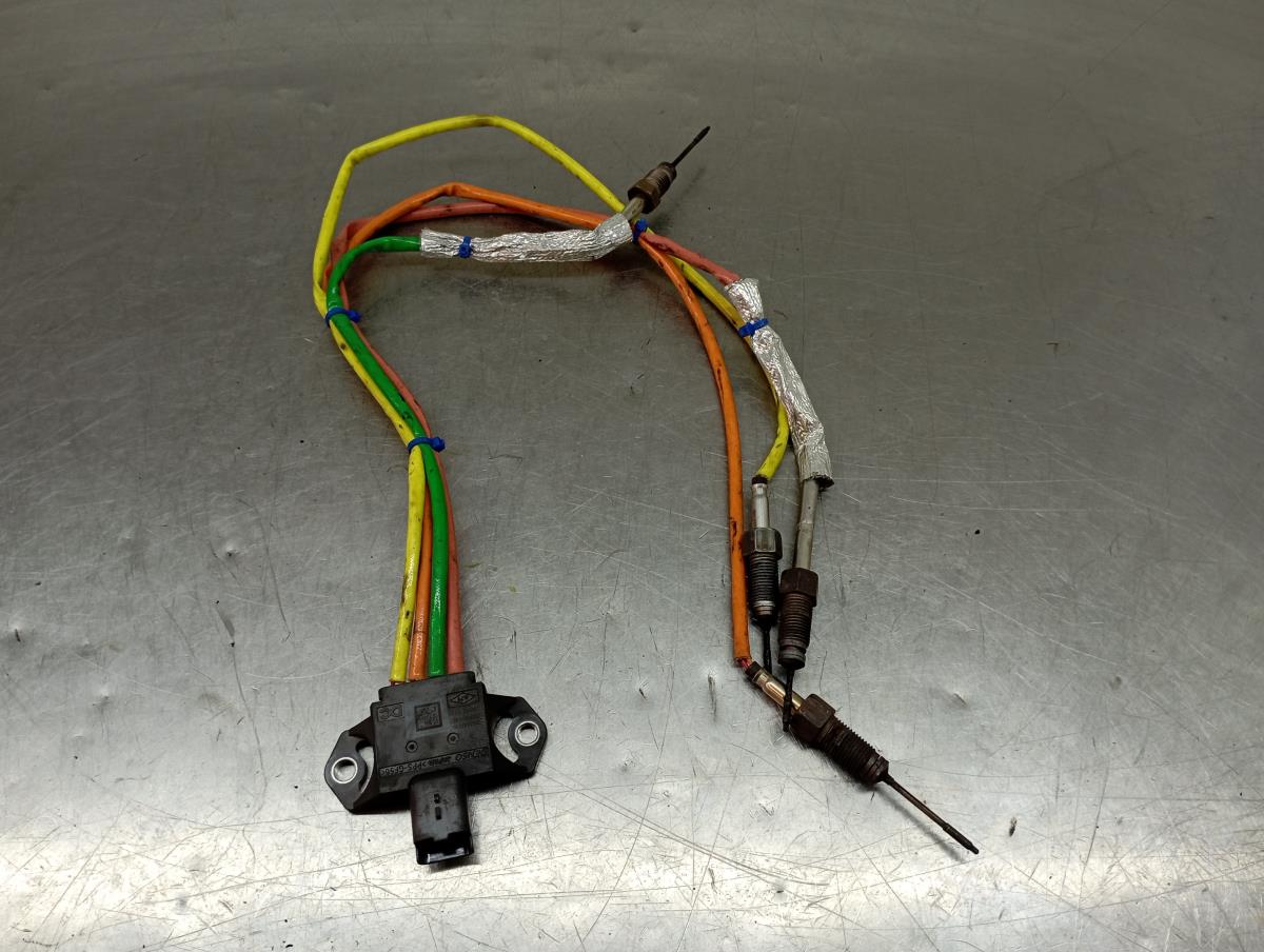 Sonda lambda RENAULT Clio V (BF_) Imagem-1